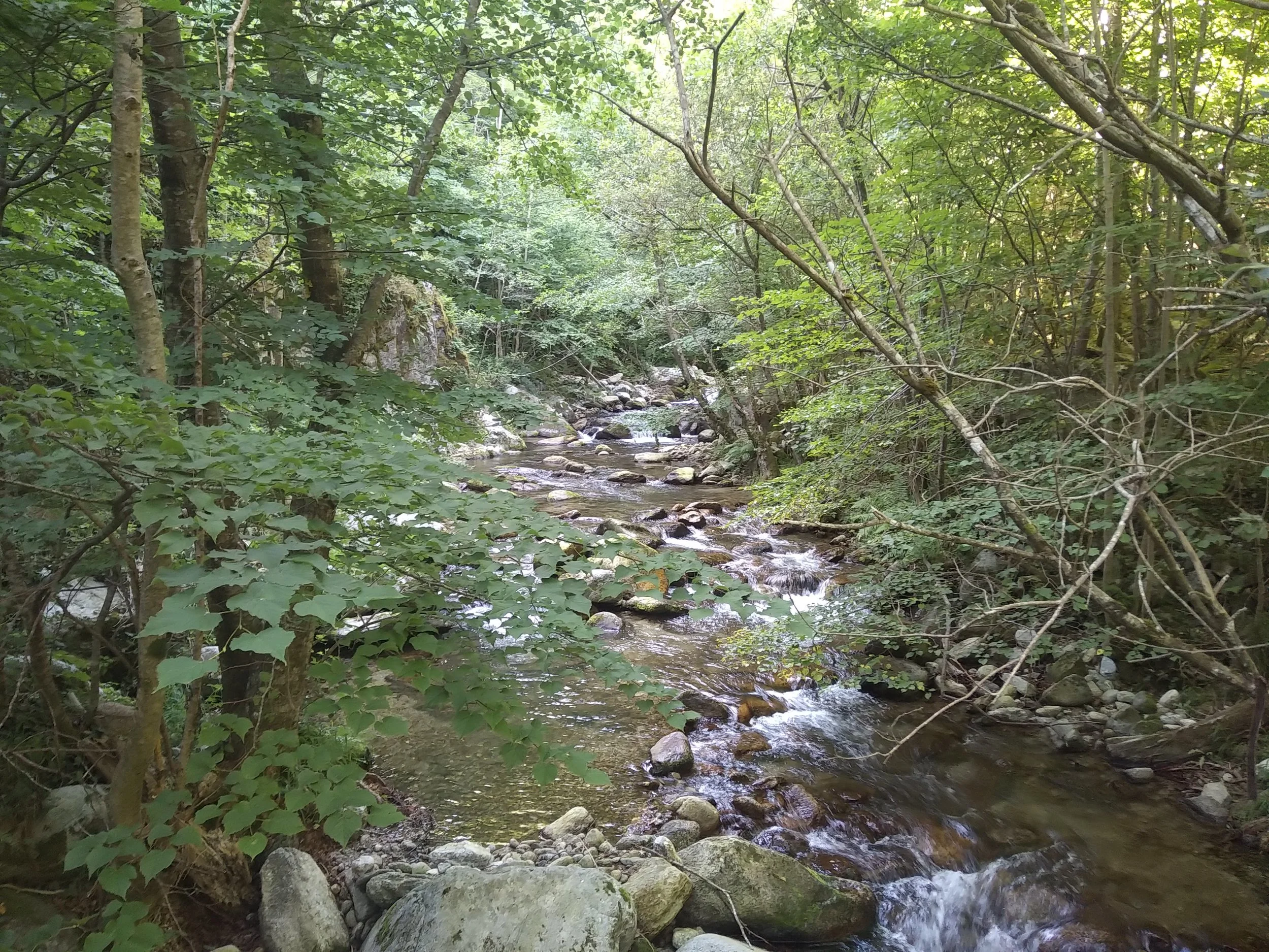 IMG_20190814_102733.jpg