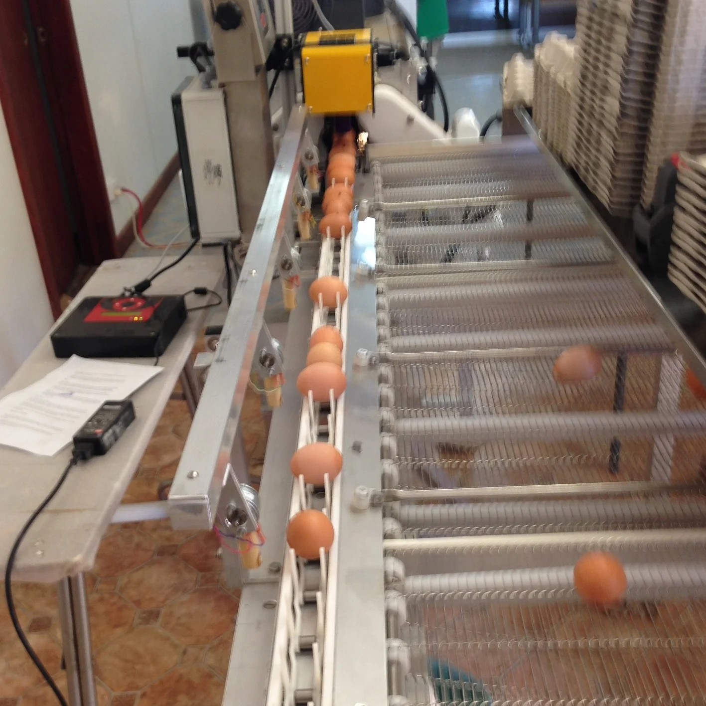 Grading machine weighing and sorting eggs