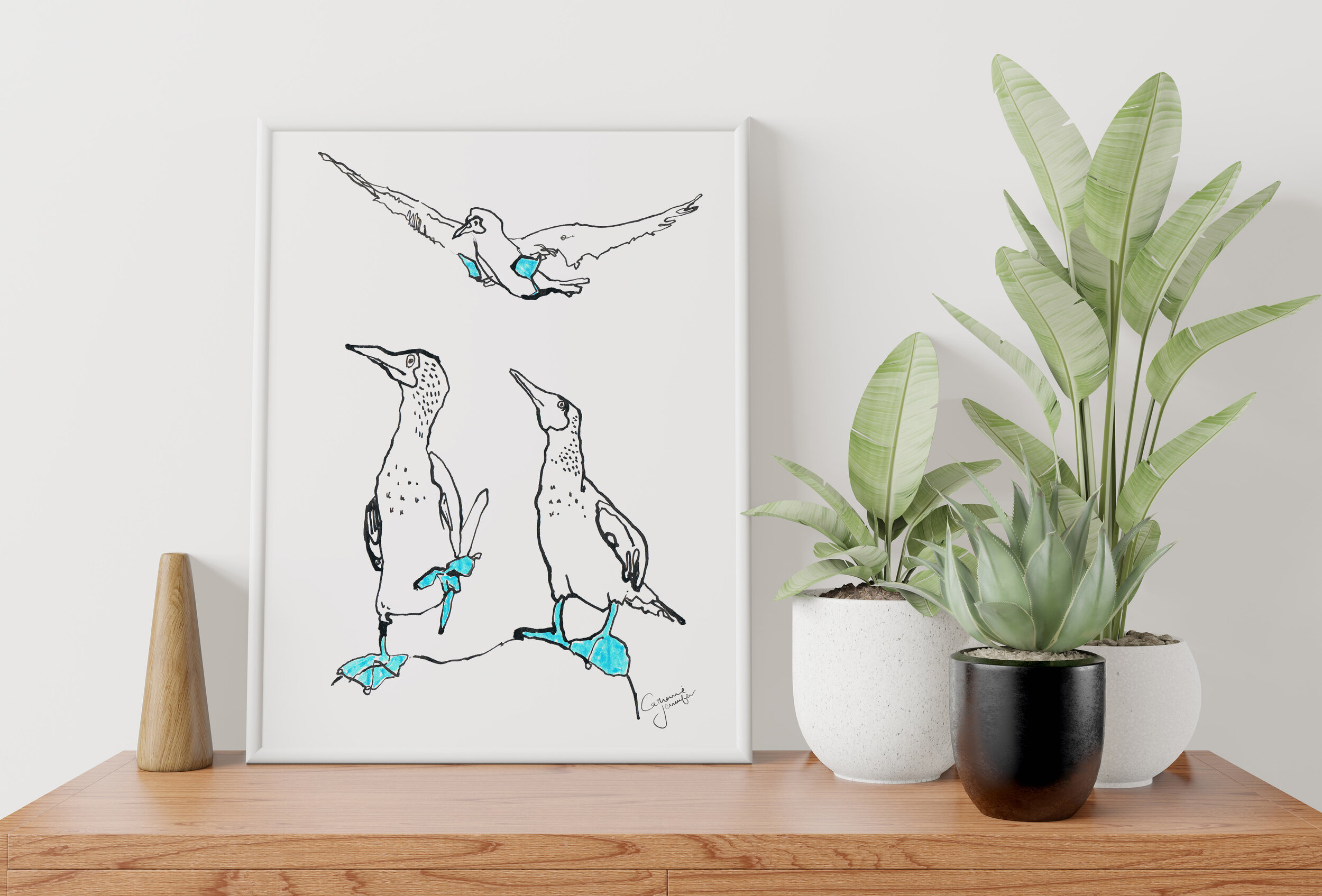 "Blue-Footed Boobies 2" - Giclee Print