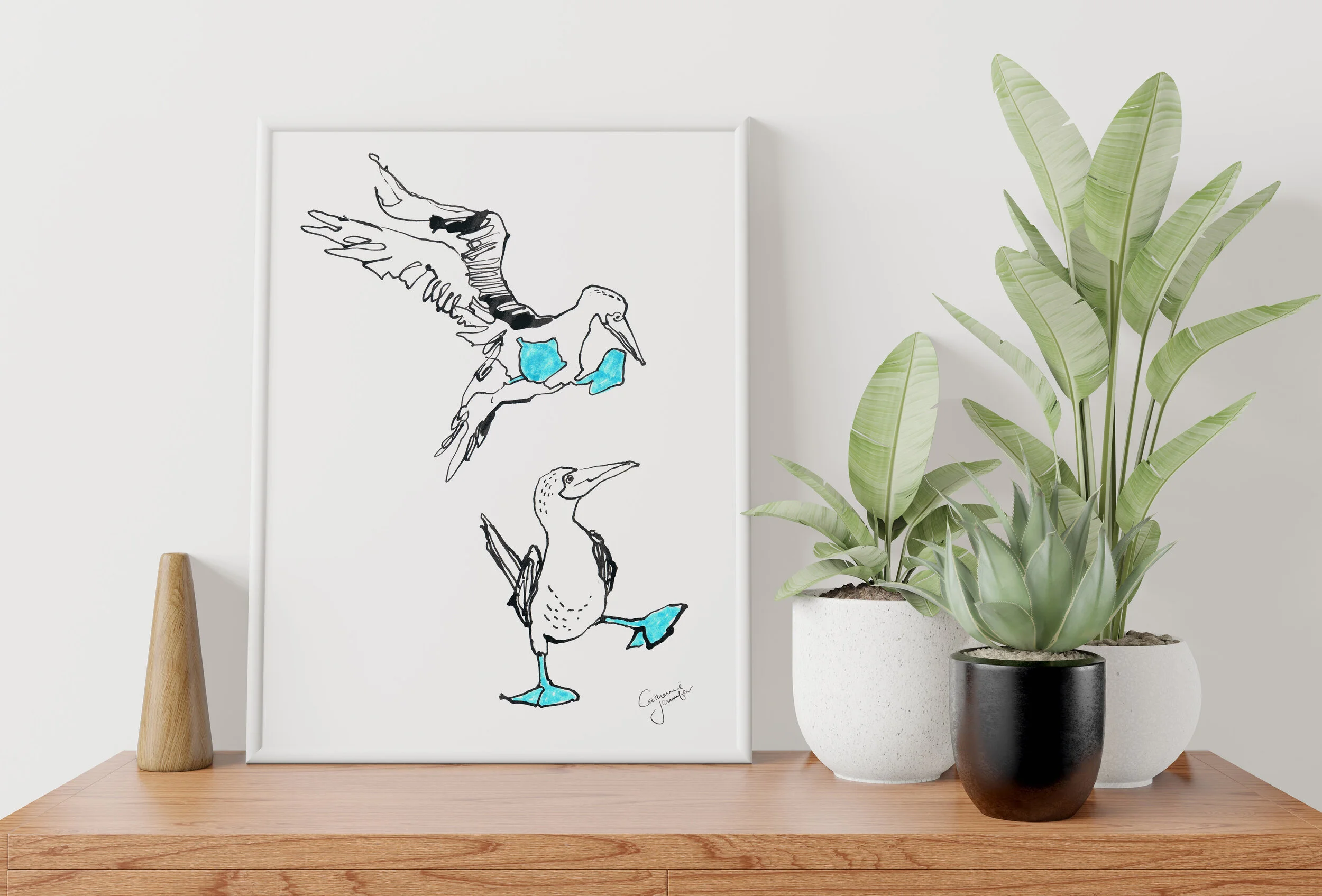 "Blue-Footed Boobies 1"  - Giclee Print