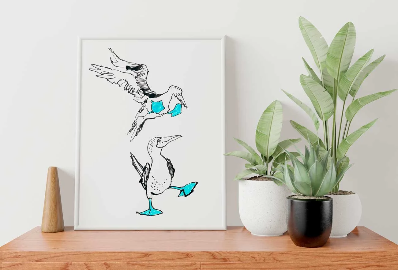 Blue-Footed Booby Art Print by Catherine Jennifer framed mockup