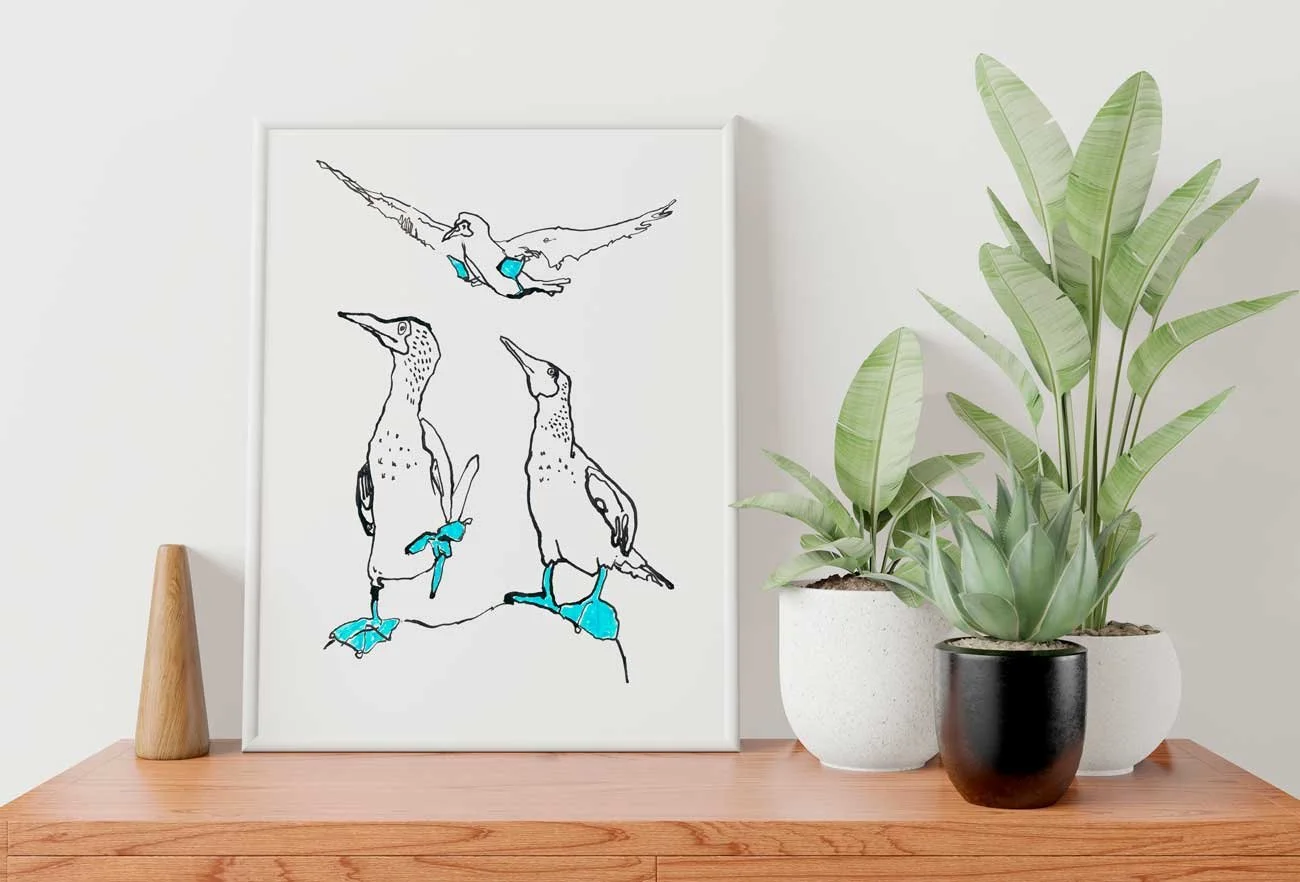 Blue-Footed Booby Art Print 002 by Catherine Jennifer framed mockup