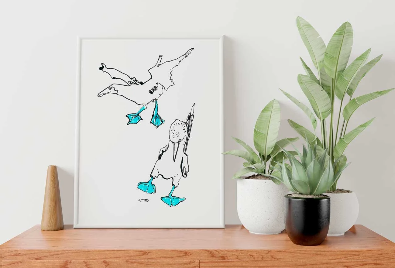 Blue-Footed Booby Art Print 003 by Catherine Jennifer framed mockup