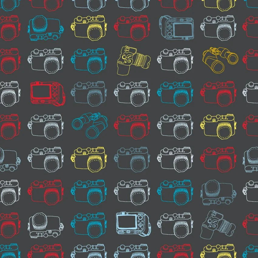 cameras_tile.jpg