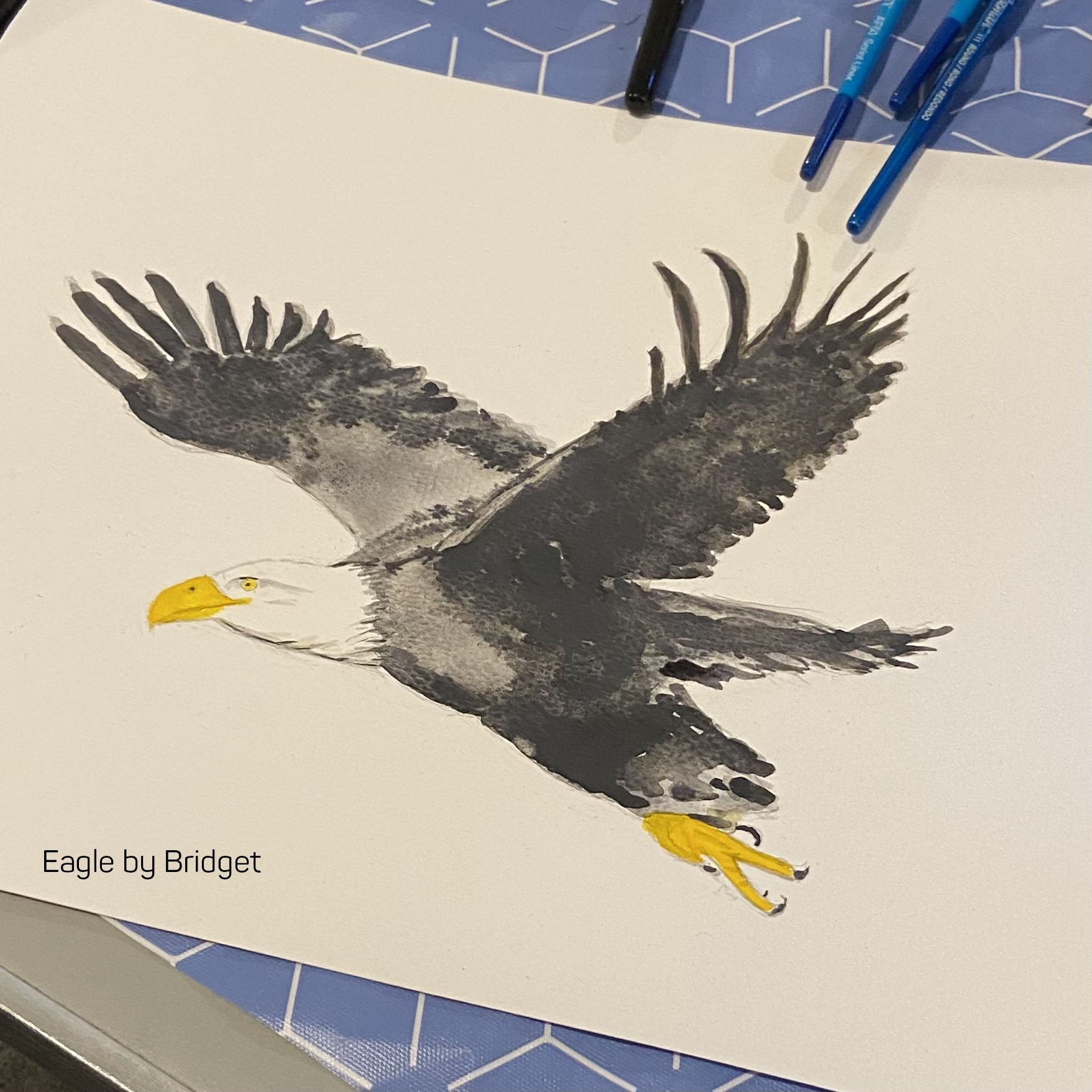 Eagle by Bridget copy.jpg