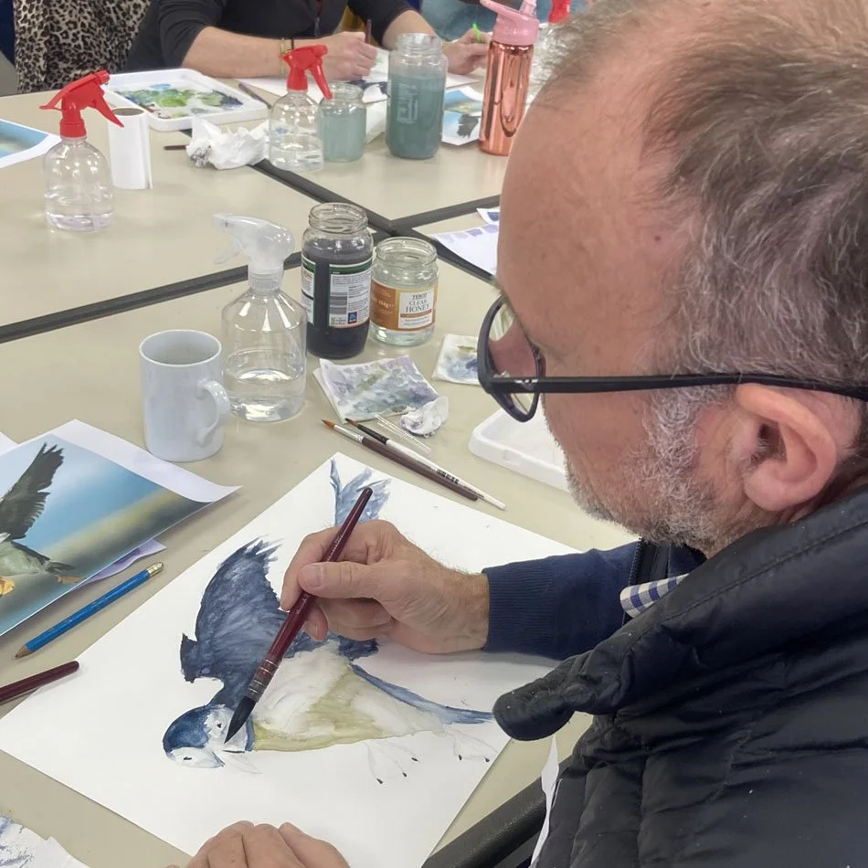 puffin by Andrew.jpg