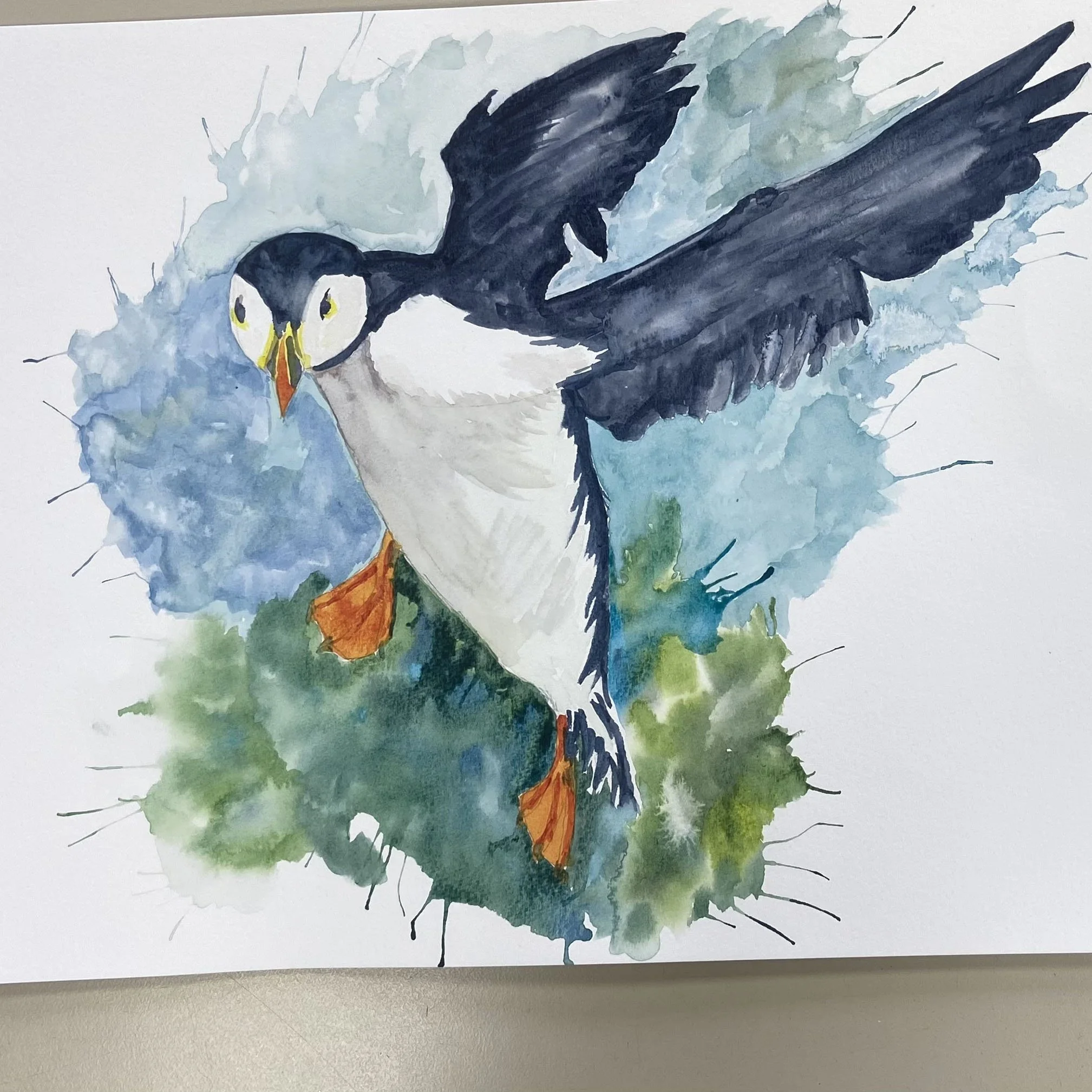 puffin-Kim.jpg