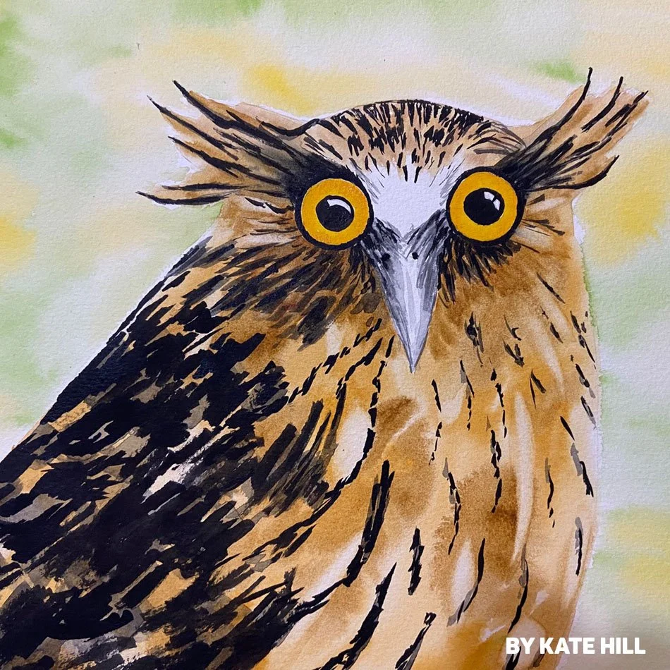 owl-by-kate-hill copy.jpg