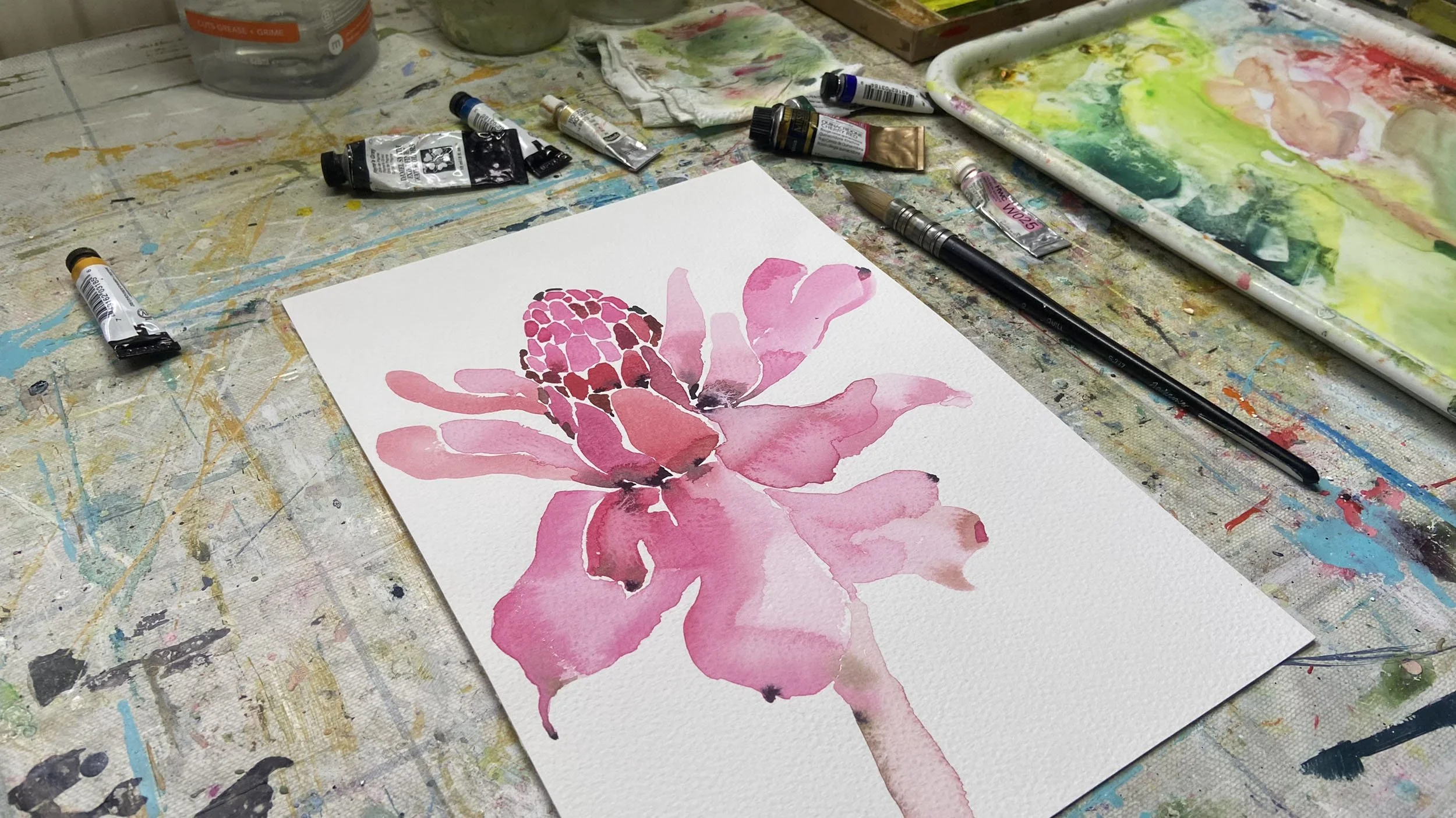 Watercolour Torch Ginger Flower by Catherine Jennifer