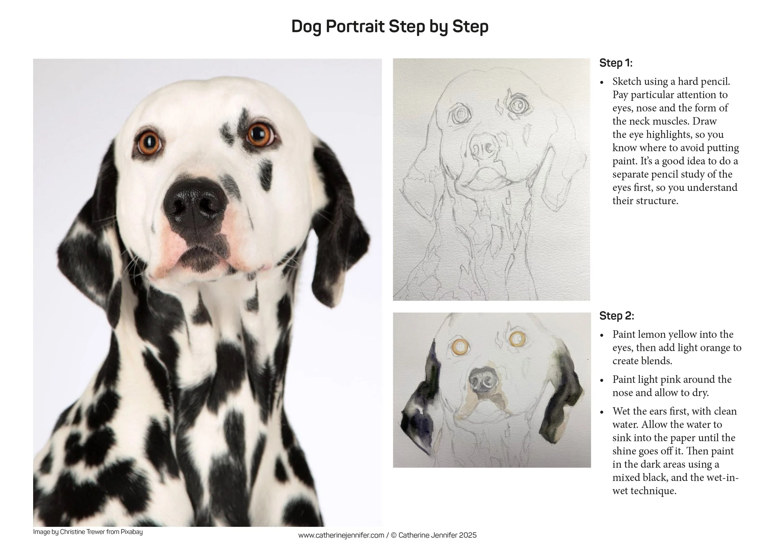 Step by step notes on how to paint a dog in watercolour