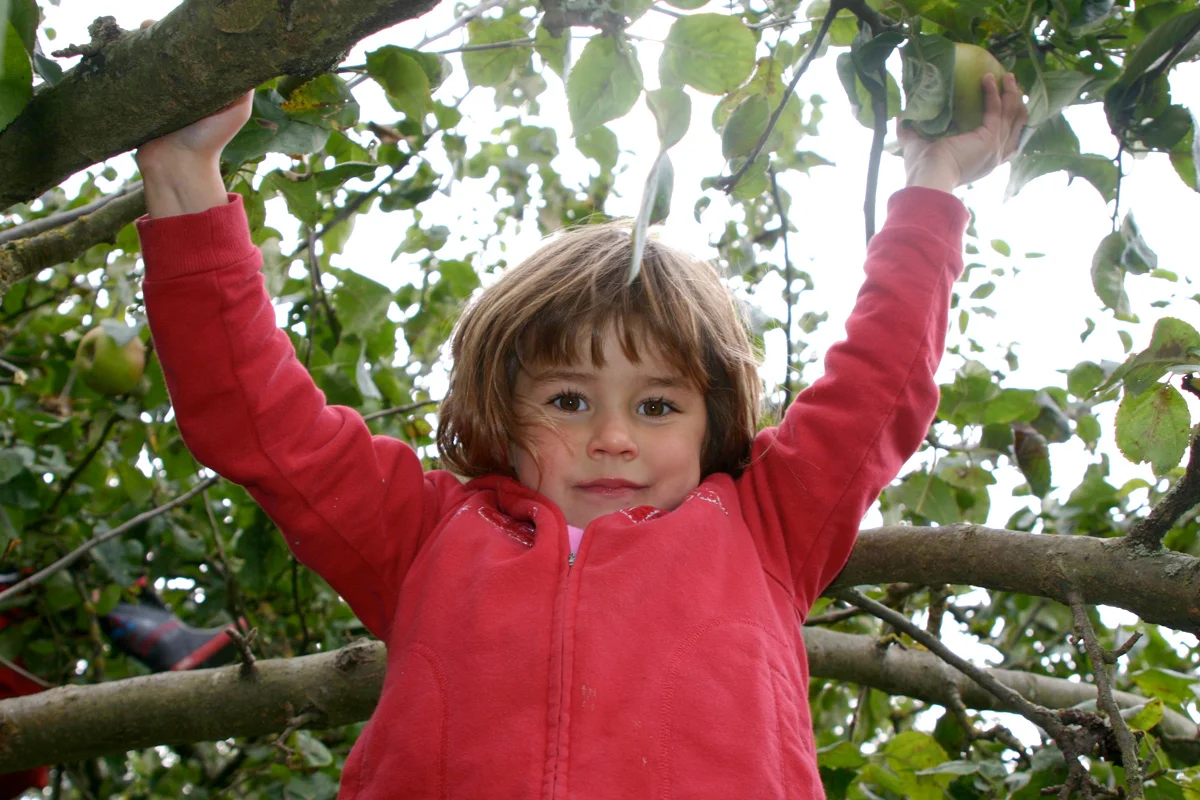 "I swing from the apple tree!"