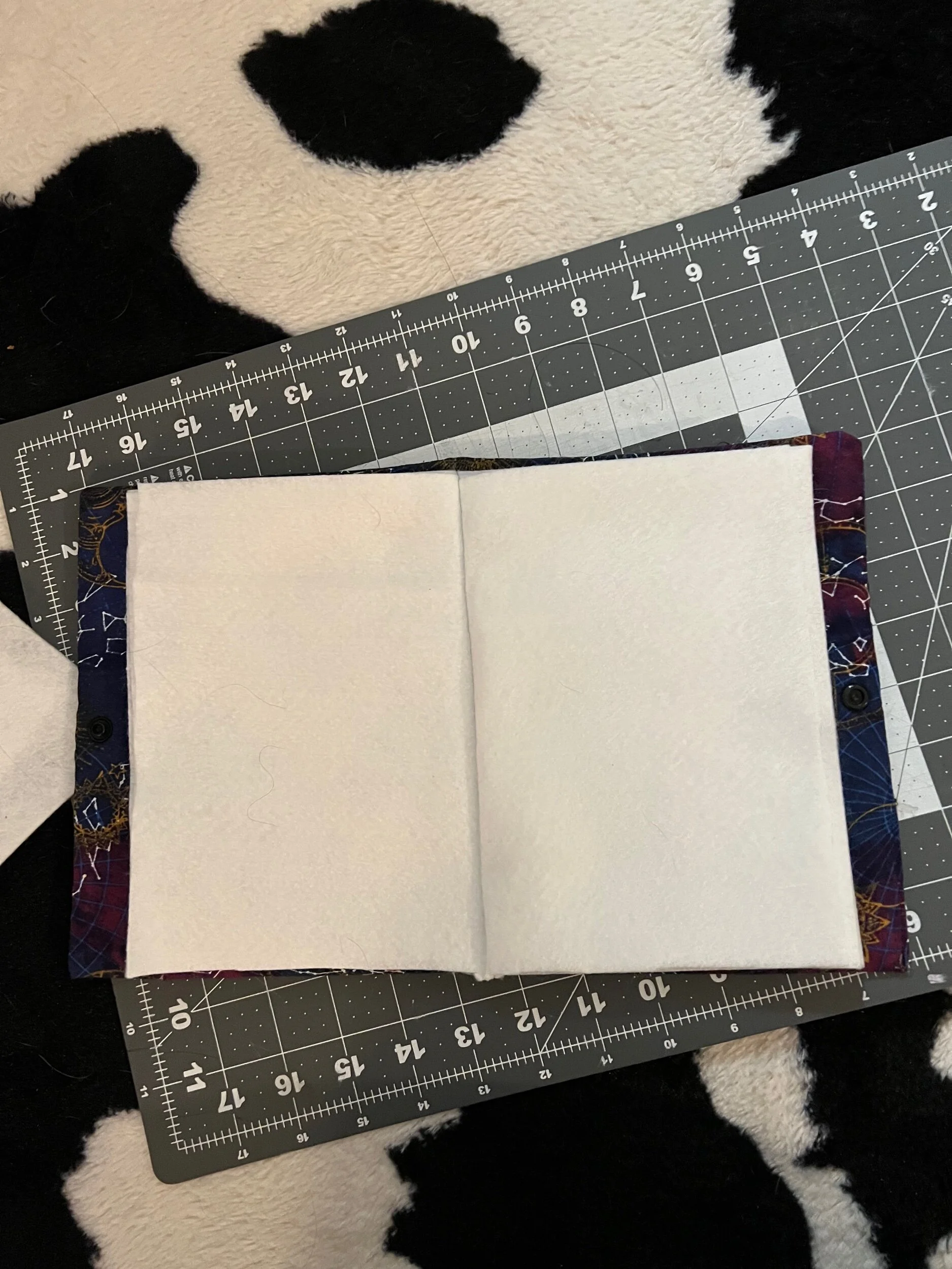 63C8F115-B220-46BE-9BC5-E3B4C54CA20B