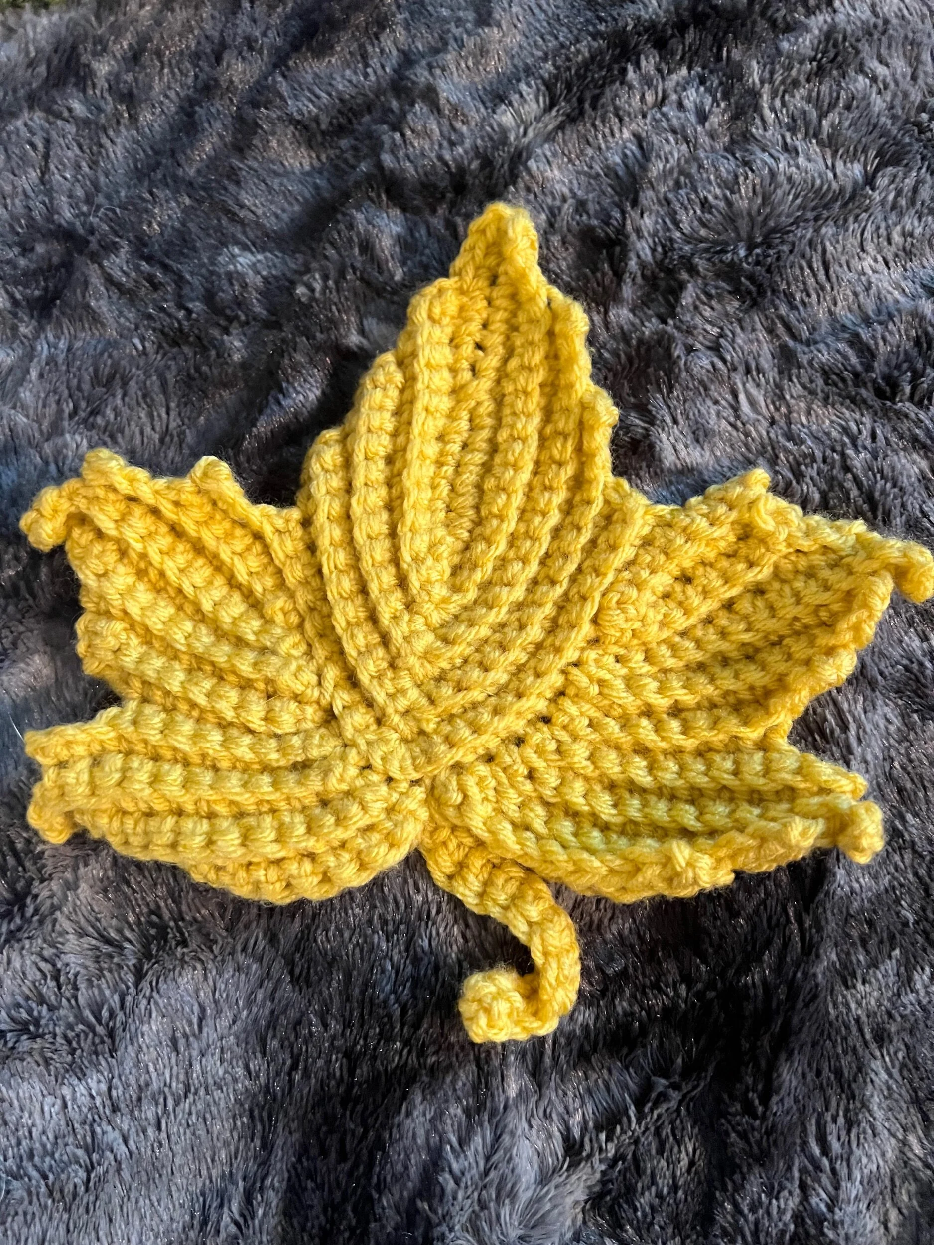 6108AF2A-AA80-44C2-A43A-B7BA31F55204