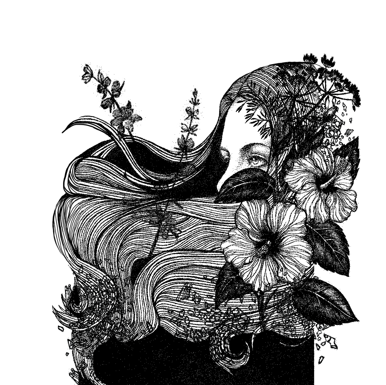 SALTESS-byluana-Rm.png