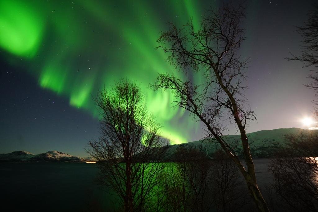 Arctic X  - Tesla Northern Lights 5.jpg