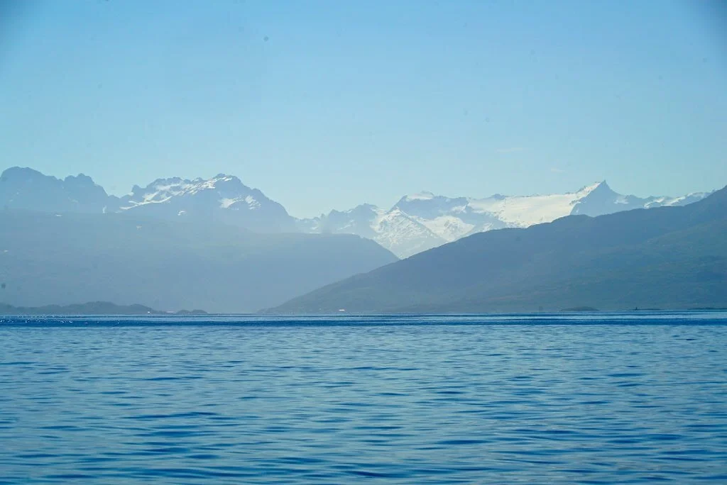 43502569011_ab1c61e84d_b.jpg