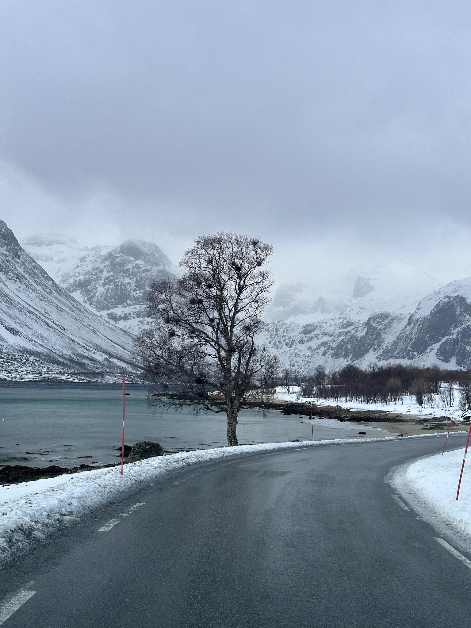 Fjordsightseeing February 12 2023