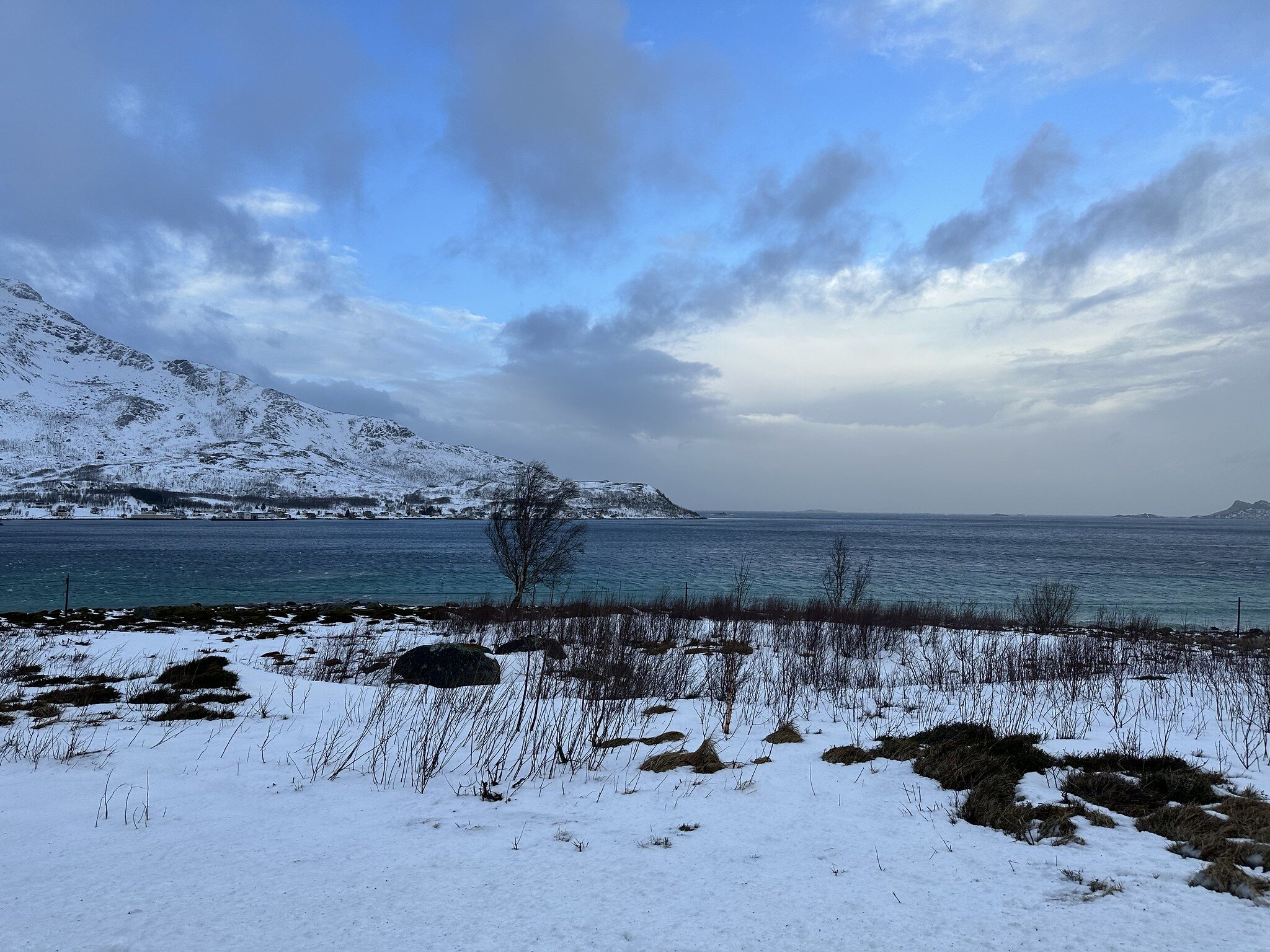 Fjordsightseeing February 12 2023
