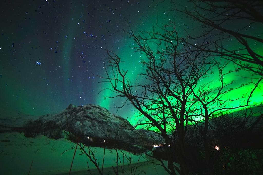 Arctic X  - Tesla Northern Lights 4.jpg