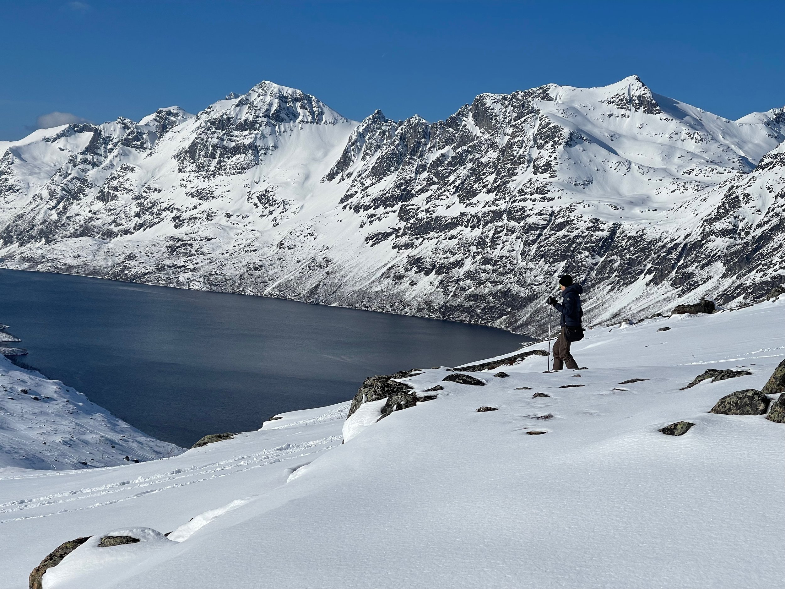 SNOWSHOE IN TROMSO - A fantastic Experience