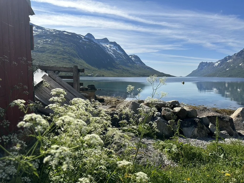 🌟 Thank You, Guests from Qatar, for Embarking on Our Unforgettable Best of The Best Fjord Tour! 🚢⛰️