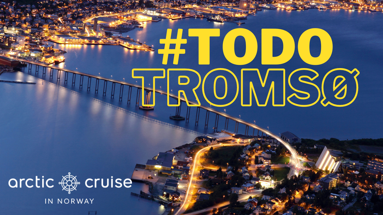 What to do in Tromso - One idea - Embracing Nature's Beauty on our Eco-Friendly Fjordsightseeing Tour with Tesla X! 🚗🌿