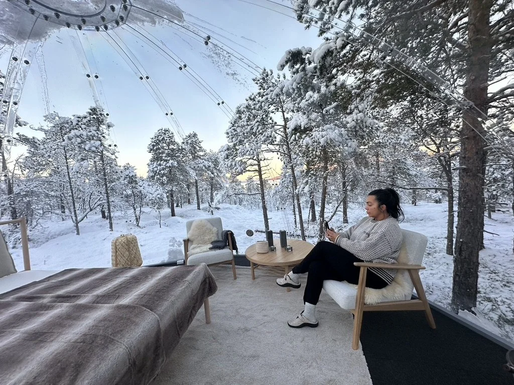 Snow-covered Arctic forest seen through the transparent roof of ACIN's Aurora glass igloo