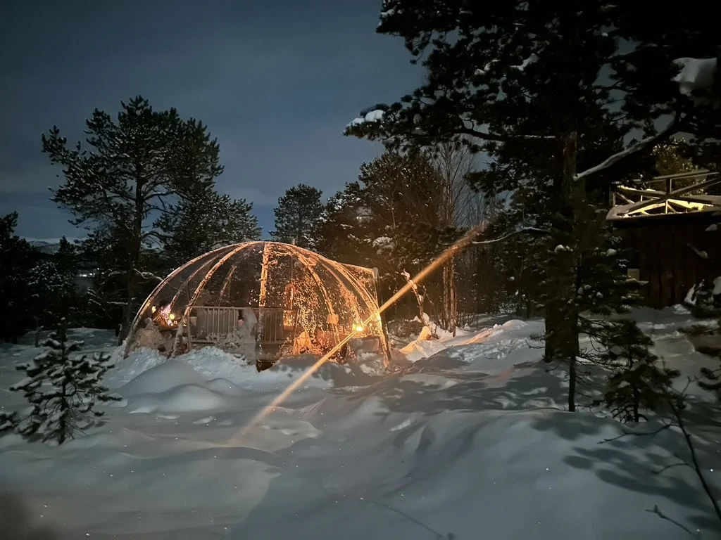 Create an image of a luxurious yacht fully equipped for an exquisite Arctic cruise. Showcase outdoor dining areas with elegant table settings, plush sun loungers, and a panoramic view of the stunning Arctic scenery. Add vibrant flowers or decorative elements to convey a sense of elegance. The waters around the yacht should be calm and reflect the hues of a beautiful sunset. Aim for photorealistic quality, ensuring textures of the yacht’s materials and furnishings are detailed and appealing.