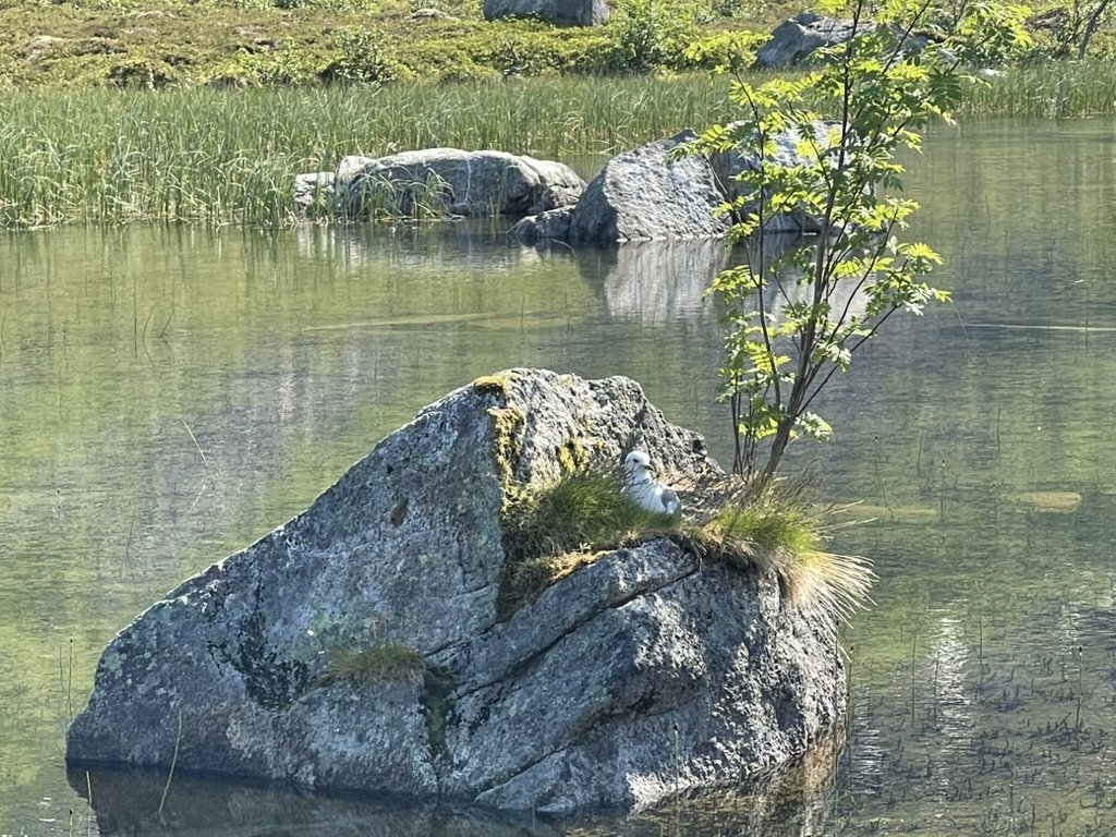 BD37FD78-652E-4BB9-AC81-36AB7460AB04_1_105_c.jpeg