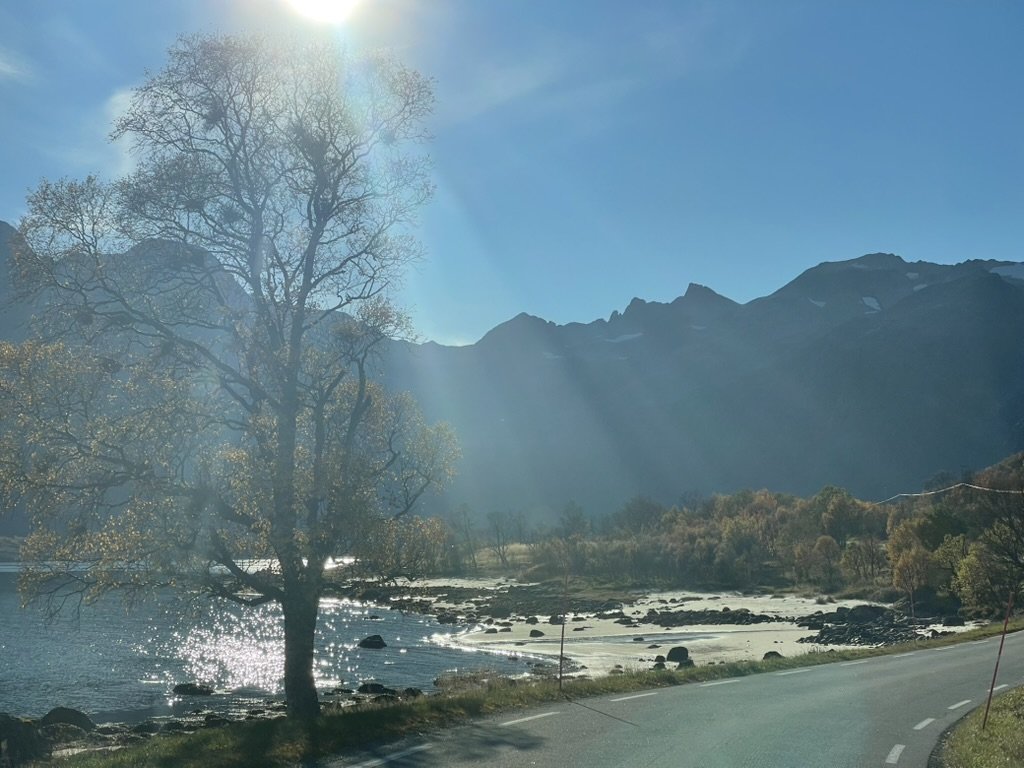 53F050AC-D6A0-48DA-91DB-871025E71A25_1_105_c.jpeg