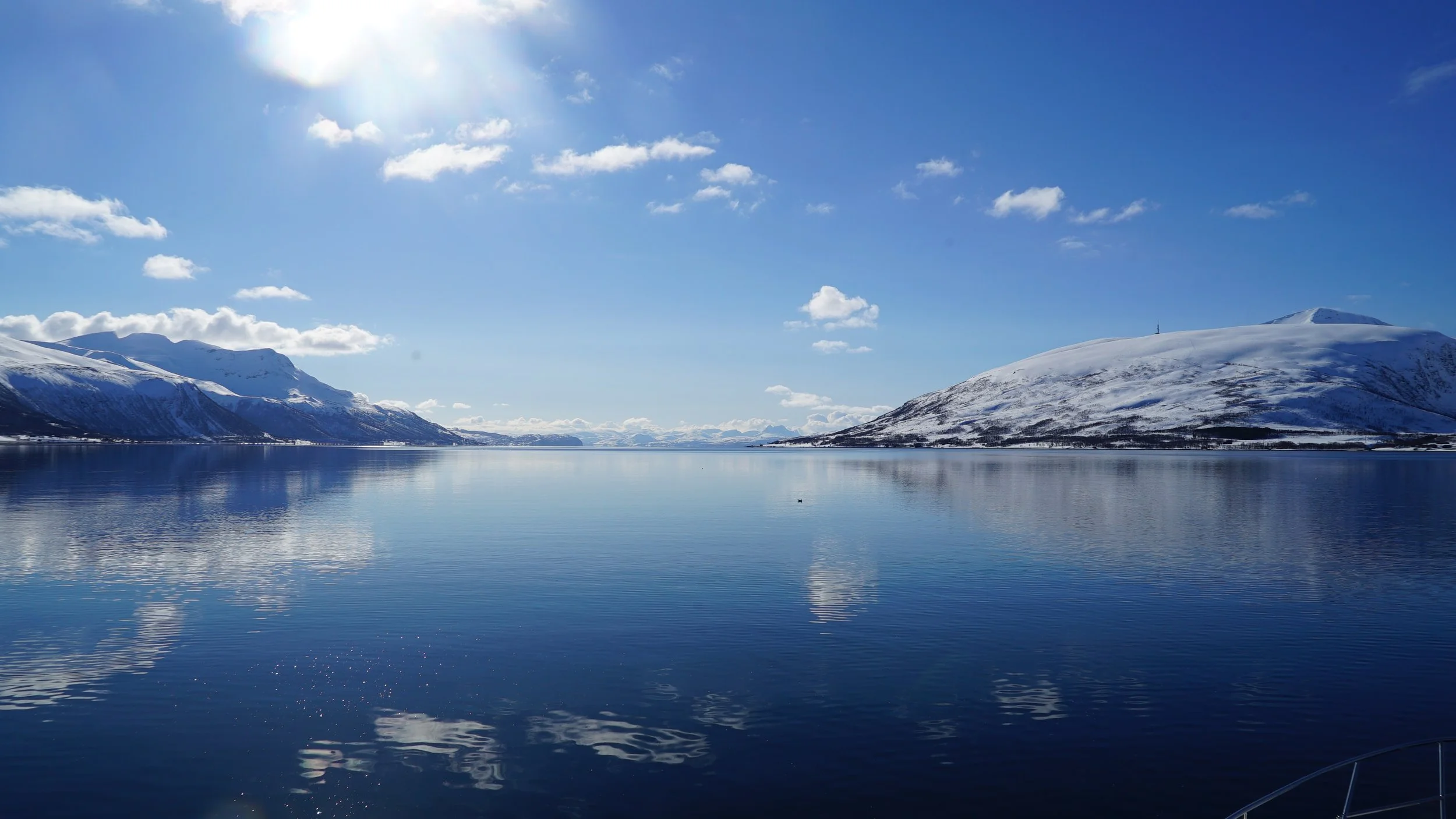 An unforgettable day in the fjords of Tromsø