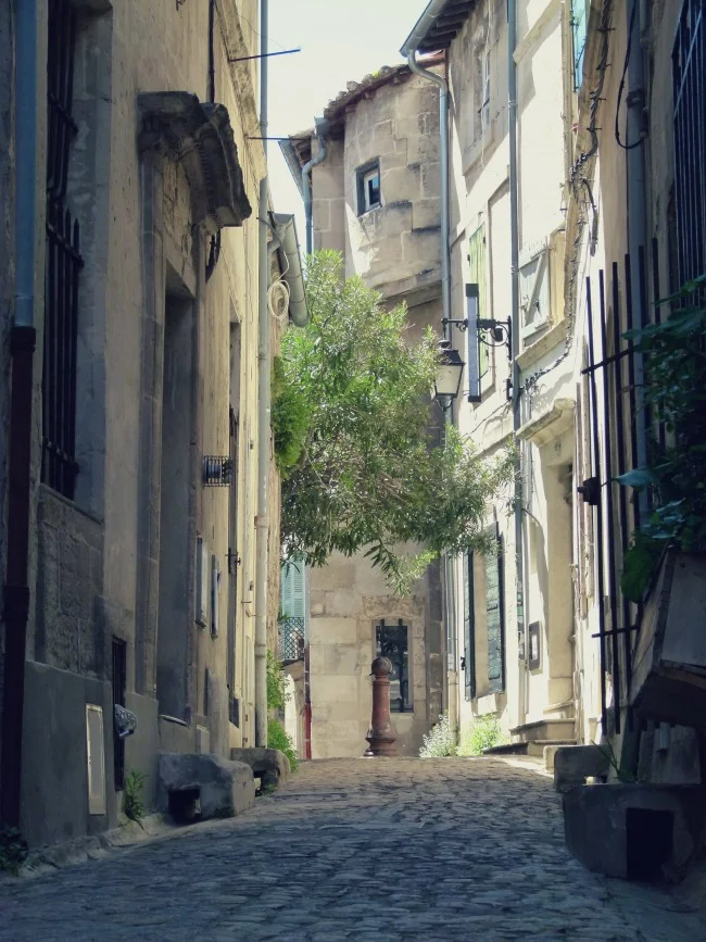 The French Muse, Arles Brocante