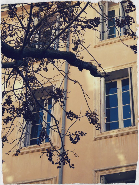 aix-windowsill-e1389307613906.jpg