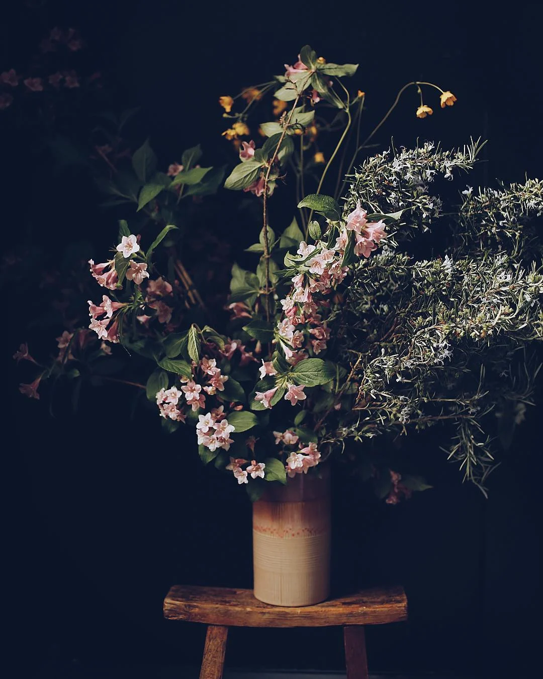 Image credit Elodie Love
