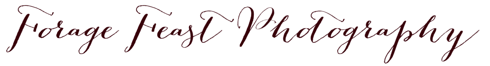 FFP+for+website.png