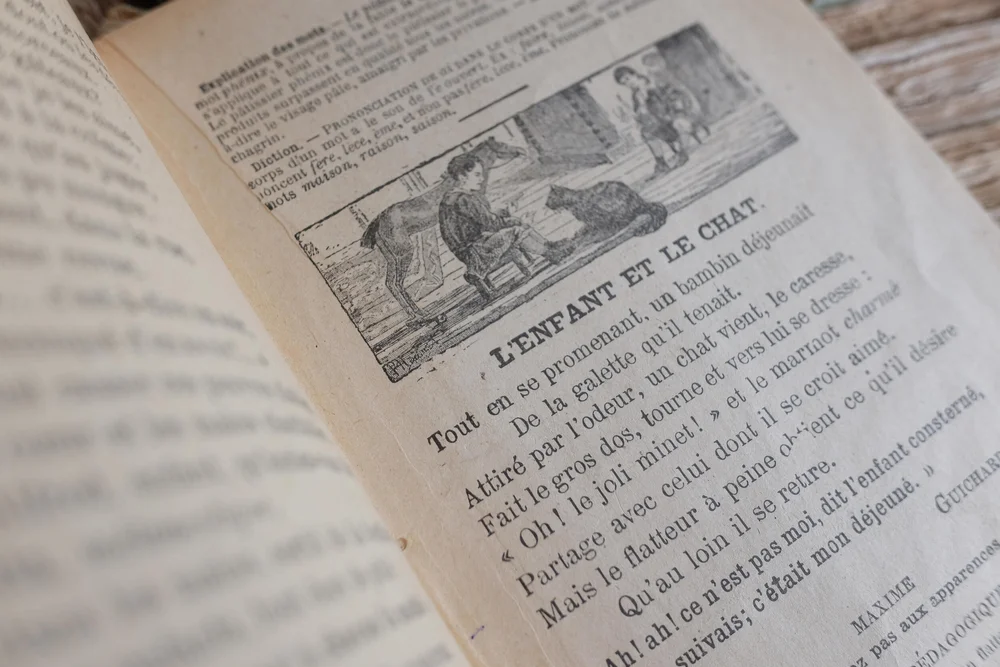 Exercise De Memoire A Delapierre A P De Lamarche 18 Antique French Primary School Text Book Reading Collectible Ephemera The French Muse Exercise De Memoire A Delapierre A P De Lamarche 18 Antique French Primary School Text Book Reading Collectible Ephemera The French Muse