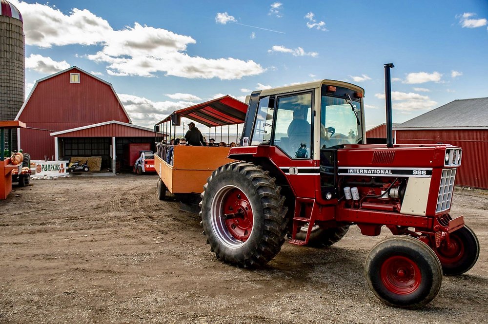 New Salem Corn Maze Hayrides