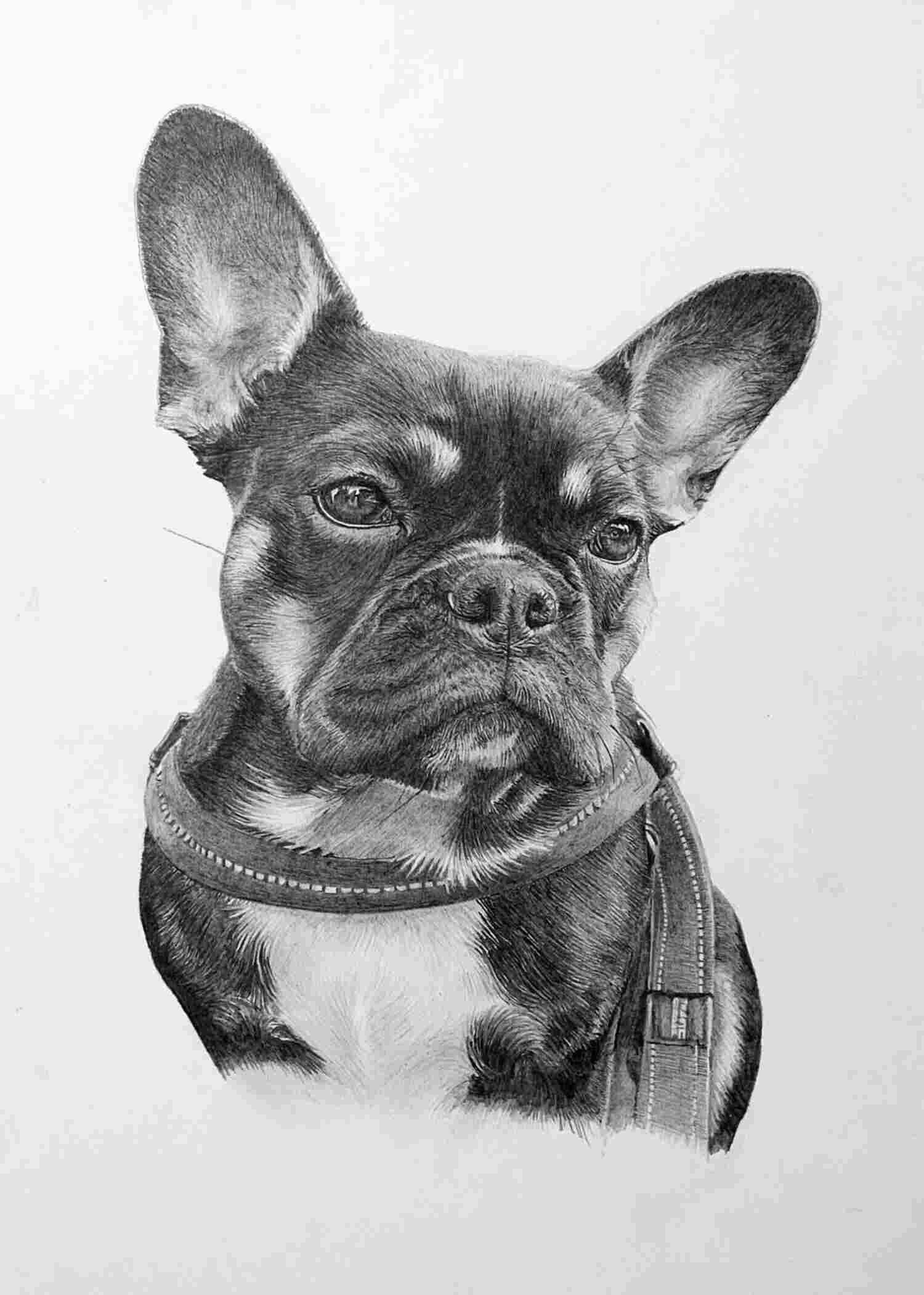 The Emotional Connection of Dog Portraits Jonny Atkinson Art