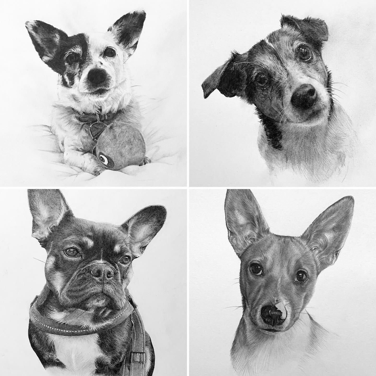 Christmas Order Update&hellip; 🎅🏻 🎄 🎁 

Thank you to everyone who has ordered a pet portrait for Christmas!

Just a little update to say I still have a couple of slots available, so if you&rsquo;d like to place an order for Christmas delivery the