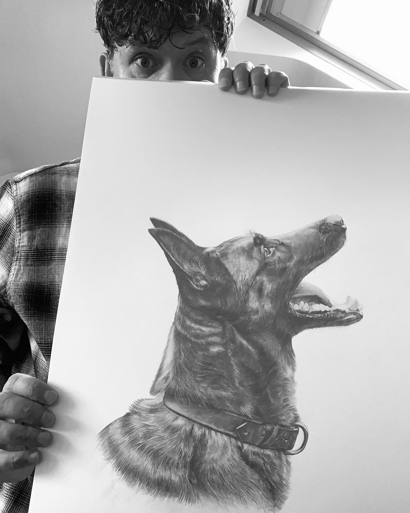 A big, happy German Shepherd I drew for a client last year ✌🏼

2024 availability is filling up! So if you&rsquo;d like to commission a pet or person portrait then get in touch to book your spot 👌🏻

I had to turn down A LOT of potential customers i