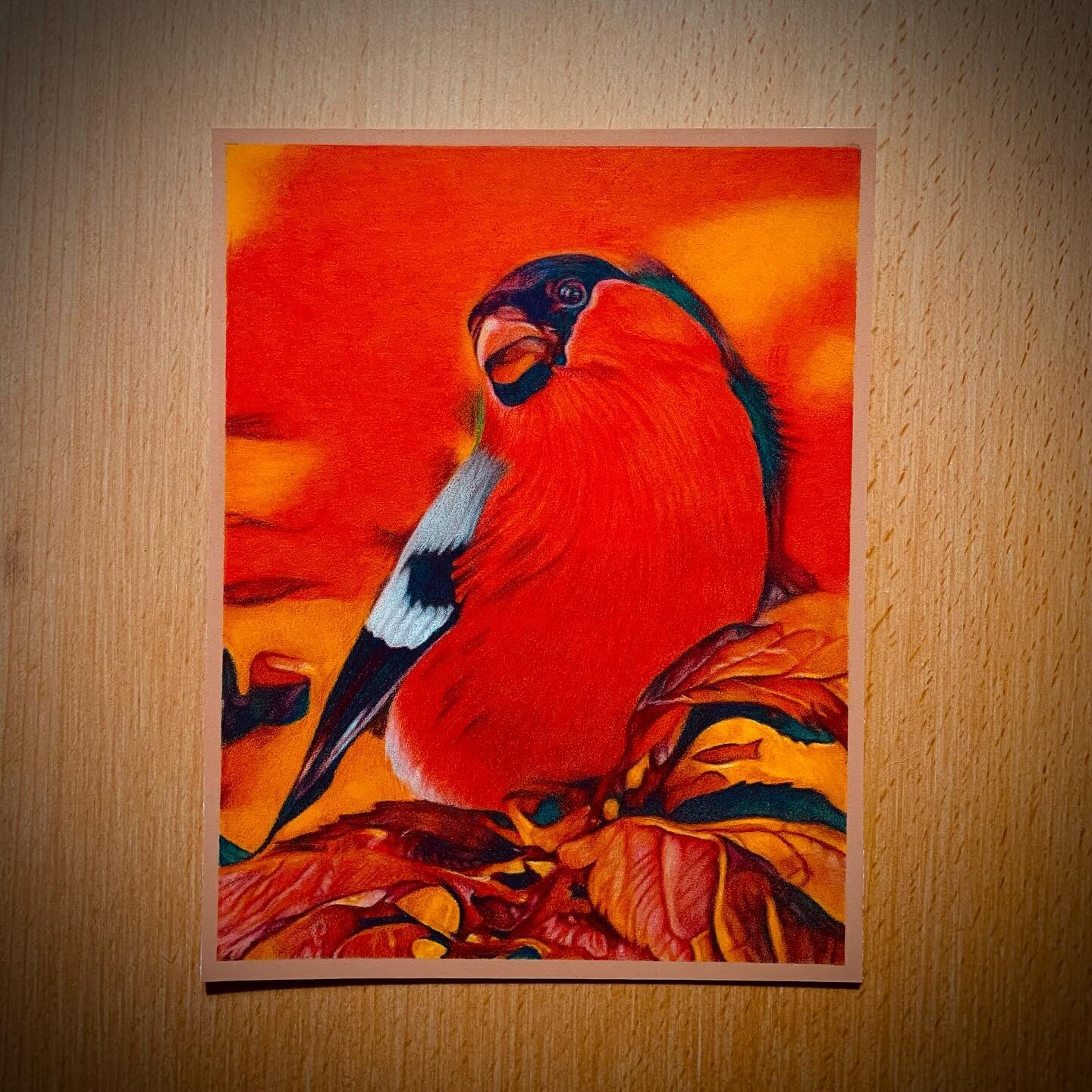 Artist Support Pledge&hellip;

100GBP

&lsquo;Bullfinch&rsquo;
Polychromos pencils on pastelmat paper, 17.5 x 13.5cm

(Unframed - frame pic for illustration only)

Please DM me if interested!

ARTIST SUPPORT PLEDGE supporting artists and makers.

The