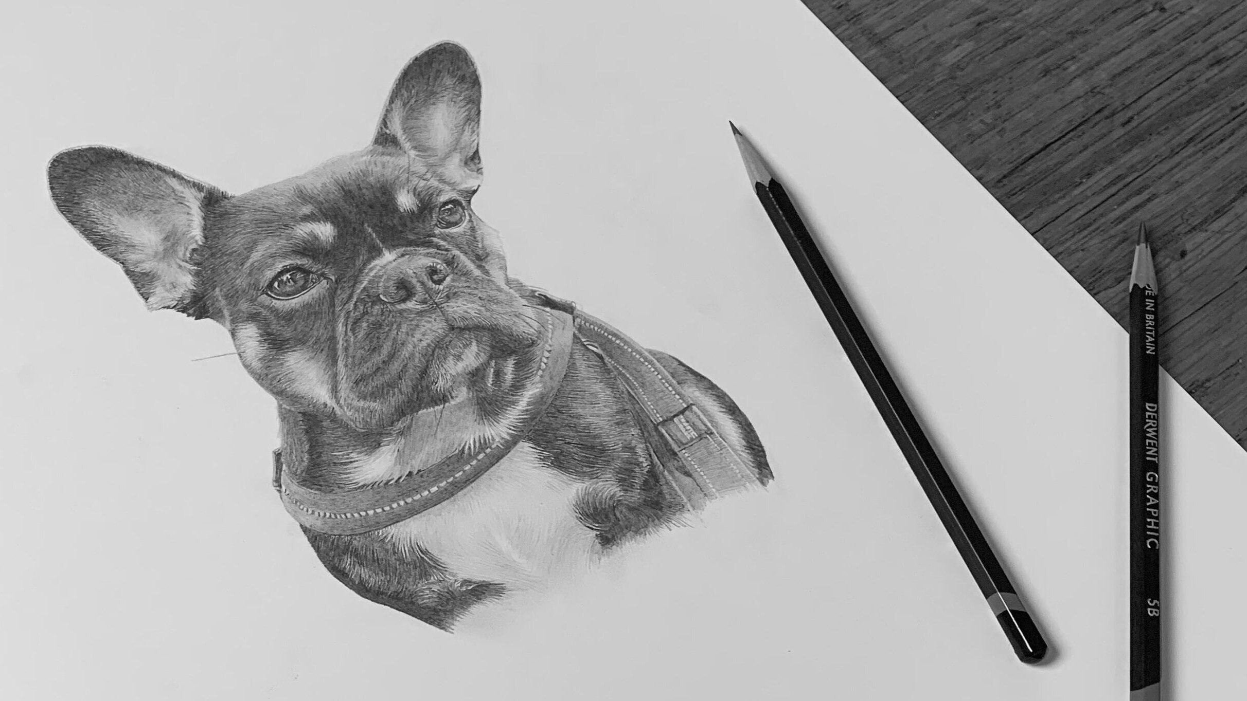 Easy How to Draw a Dog Tutorial Video and Dog Coloring Page-saigonsouth.com.vn