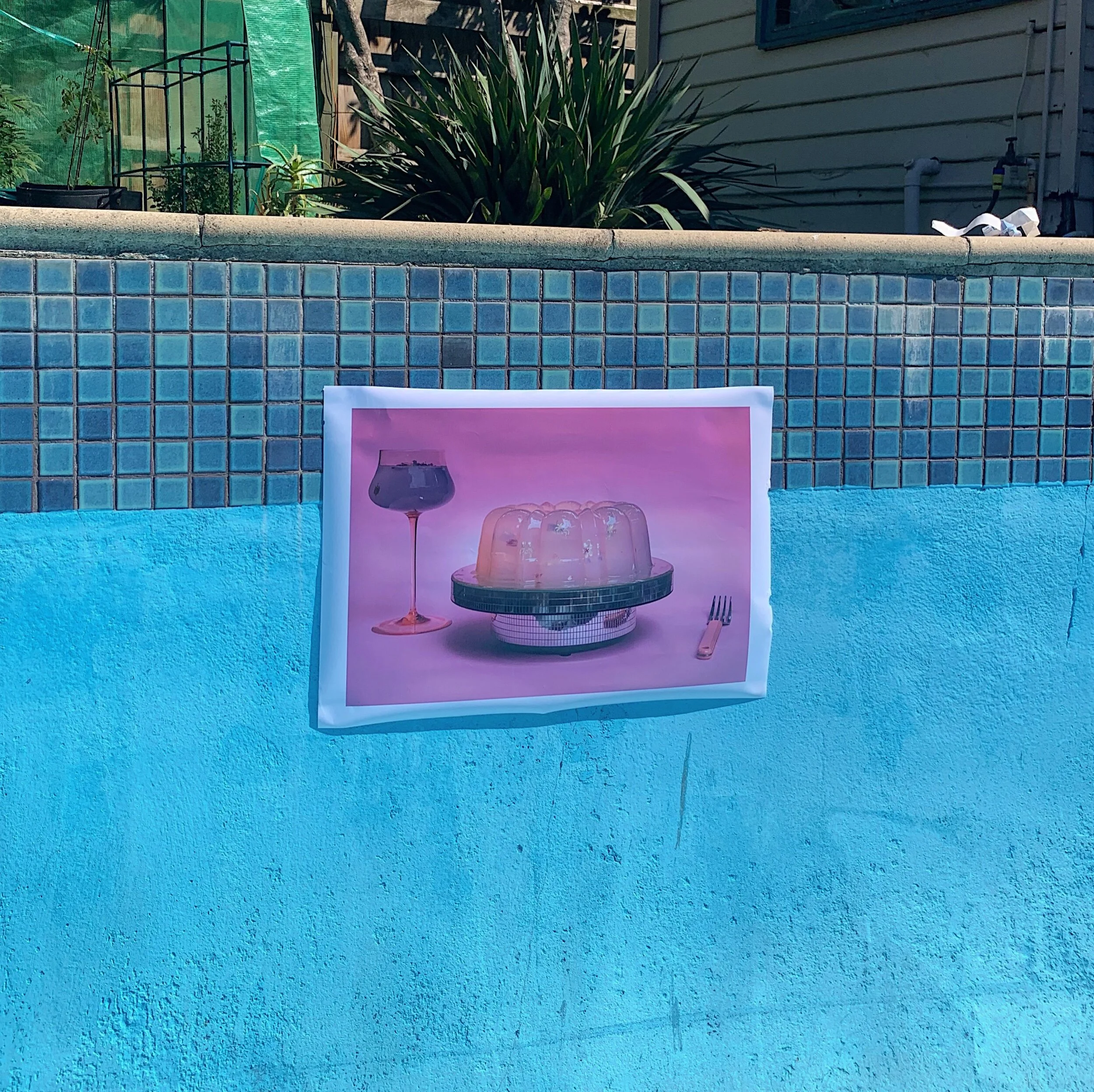 591A0403-5B3F-4094-86B5-EDF594CA899B