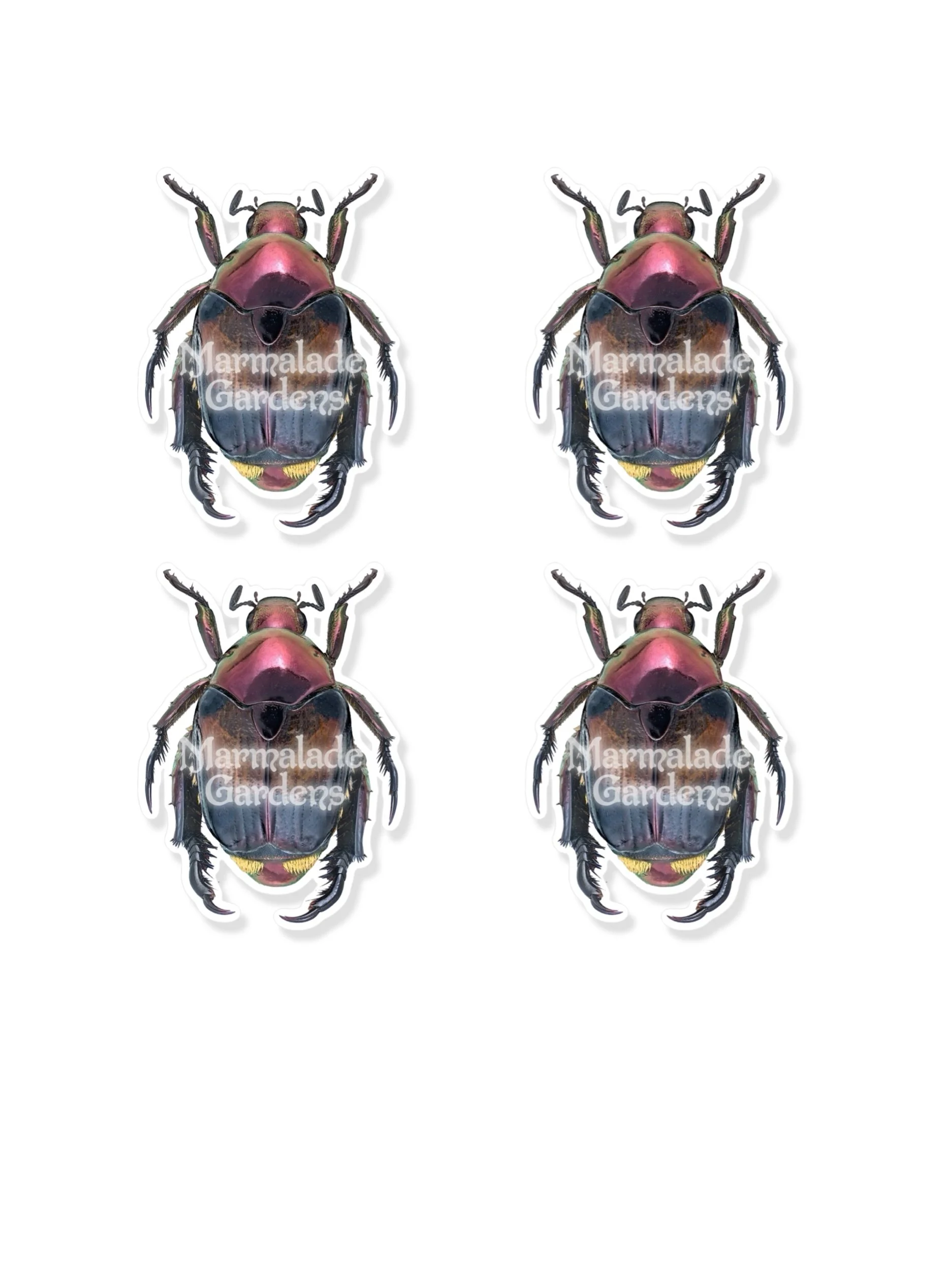 A76C2717-DA51-422E-9A22-E4F9C7830161.jpeg