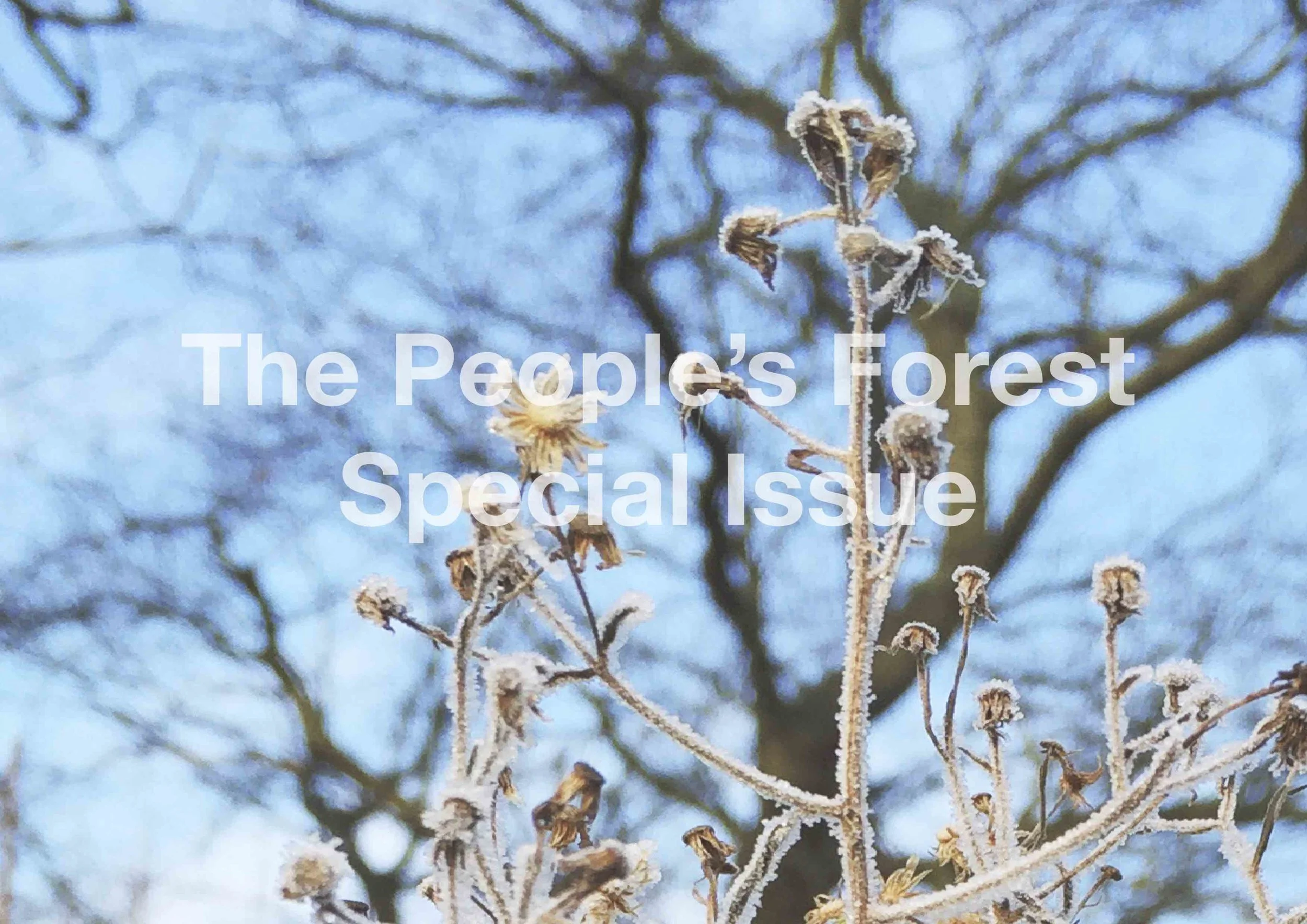 The People’s Forest: Special Issue