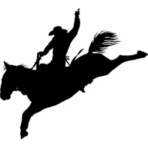 Rodeo 2.jpg