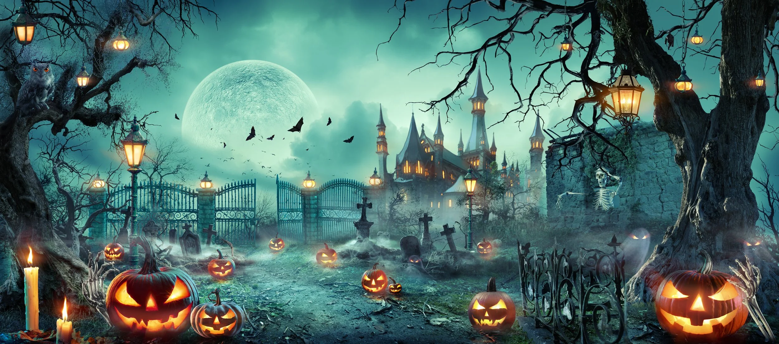 iStock-1669548578.jpg