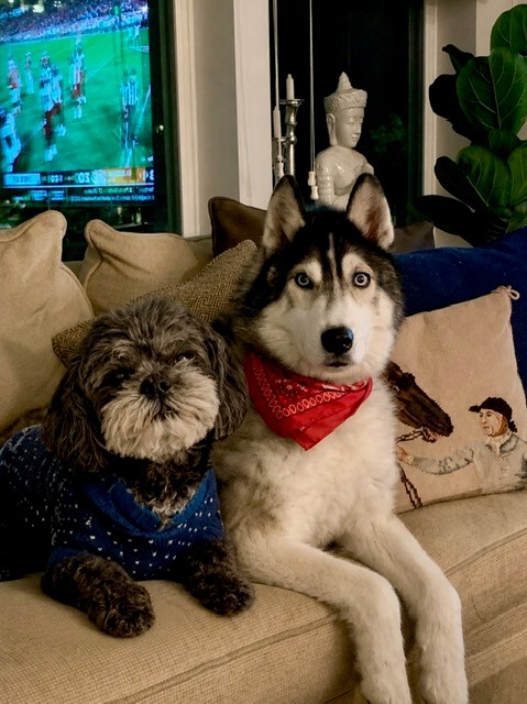 image038.png