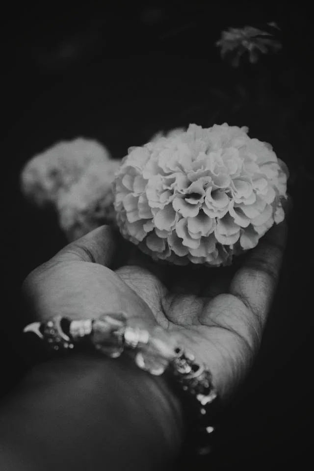 grayscale flower