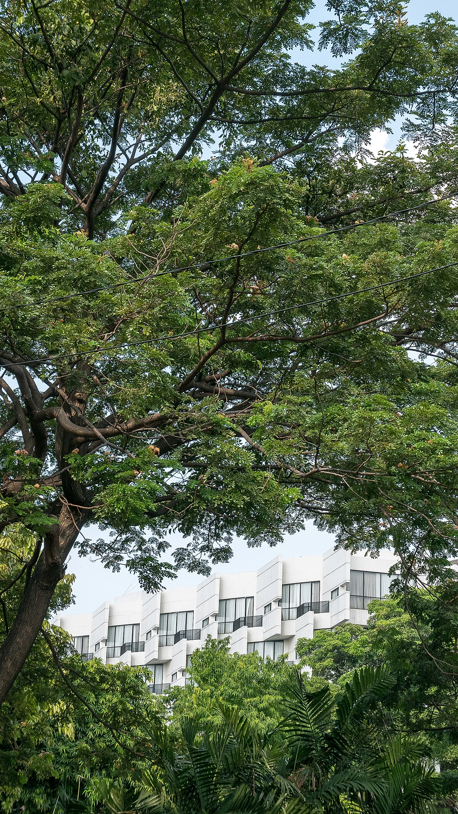 _1070488-Web-Display Sharpen.jpg